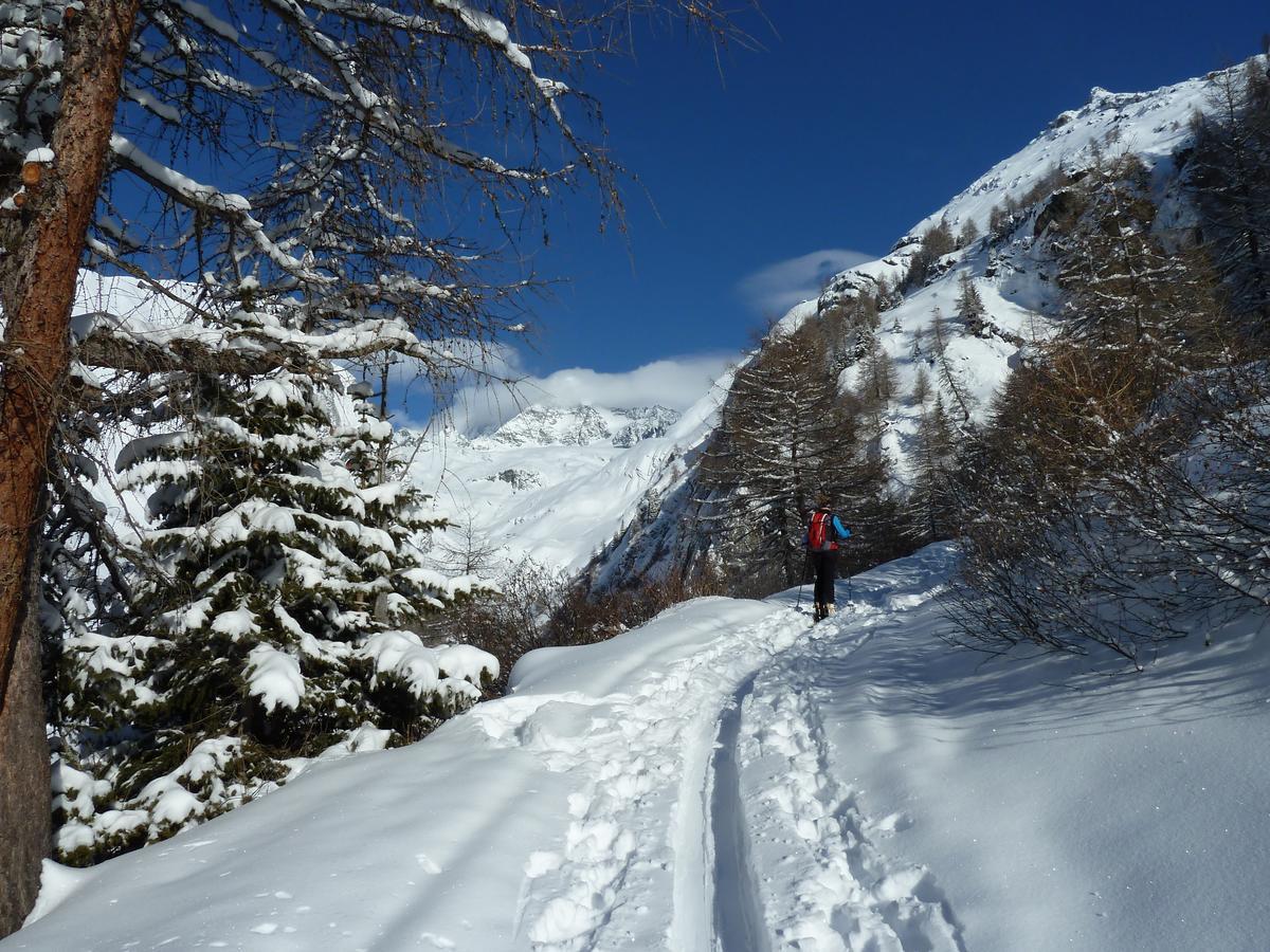 Alpengasthof Lucknerhaus 호텔 Kals-am Großglockner 외부 사진