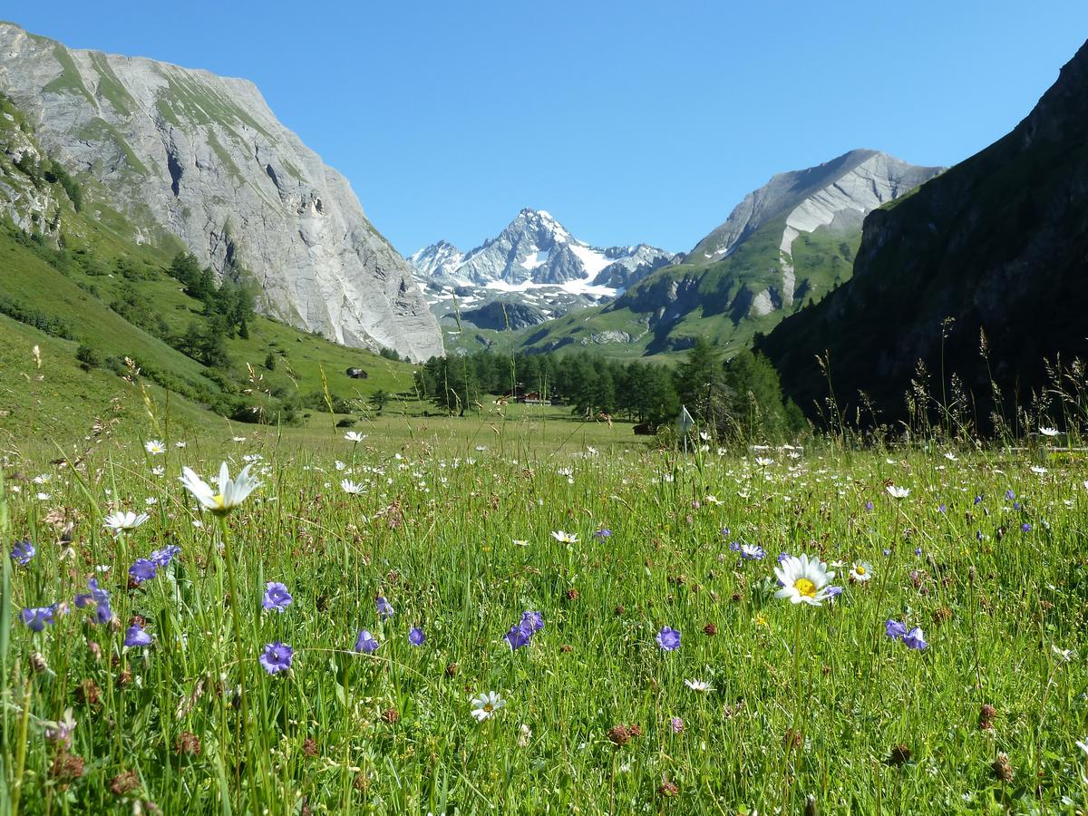 Alpengasthof Lucknerhaus 호텔 Kals-am Großglockner 외부 사진